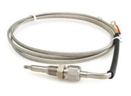 EAS -40F to 300F 1/8in NPT Temperature Sensor (EAS Starter Kit Cable and EAS Universal Sensor Input required) - Click Image to Close